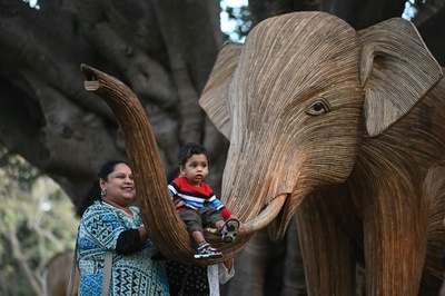 外来植物で編んだ実物大のゾウ 環境保護意識啓発 インド