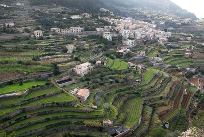 一面に広がる段々畑の石垣、しっくいを使わない特殊手法 スペイン・マヨルカ島