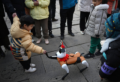 中国で人気が高まるAIロボットペット