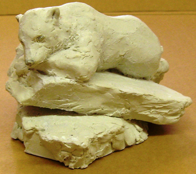 「夢見るクヌート」の記念碑、デザイン決まる 独ベルリン動物園