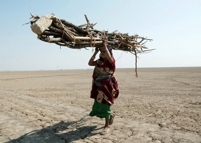 インド、国土の4分の1が砂漠化 森林伐採や過放牧で