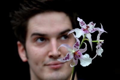 咲き誇るランの花、英キュー王立植物園