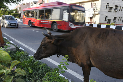 イスラム教徒を殺害したヒンズー教徒を逮捕 殺害場面を撮影 インド