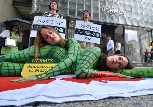 ワニに扮してエルメス革バッグに抗議、東京・銀座 ワニに扮してエルメス革バッグに抗議、東京・銀座