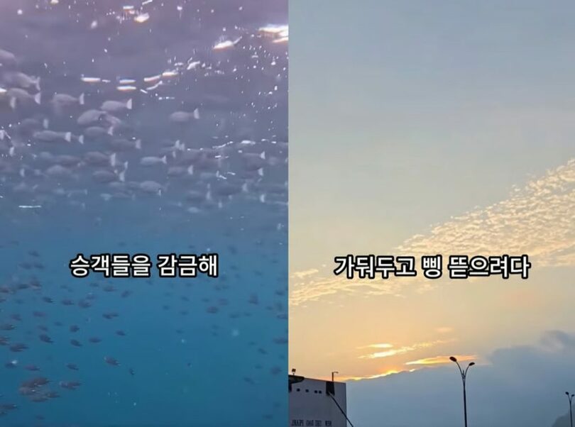鬱陵島の旅行で強制販売被害に遭ったと主張する動画＝ユーチューブから(c)MONEYTODAY
