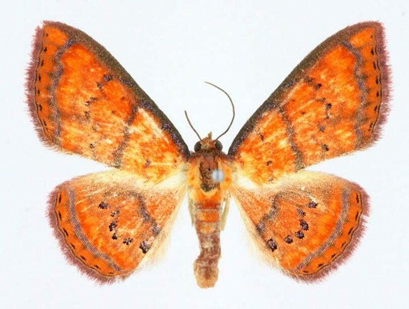 気候エネルギー環境省提供(c)NEWSIS