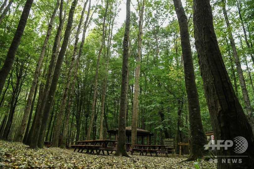 サウジ記者不明、トルコ警察が森を捜索 