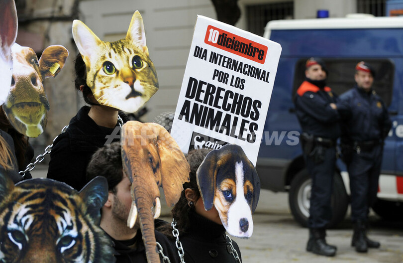 12月10日は 国際動物の権利デー スペインで愛護団体がデモ 写真5枚 国際ニュース Afpbb News