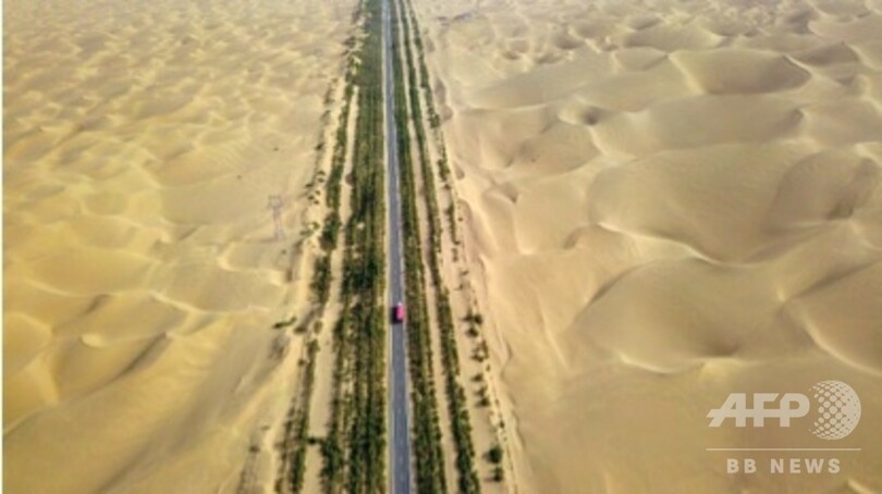 南北に延びる道路 砂漠に緑が芽生える 写真1枚 国際ニュース Afpbb News