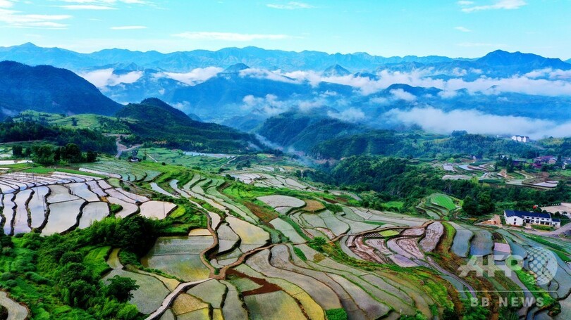 台州の楊豊山に広がる棚田 中国・浙江省