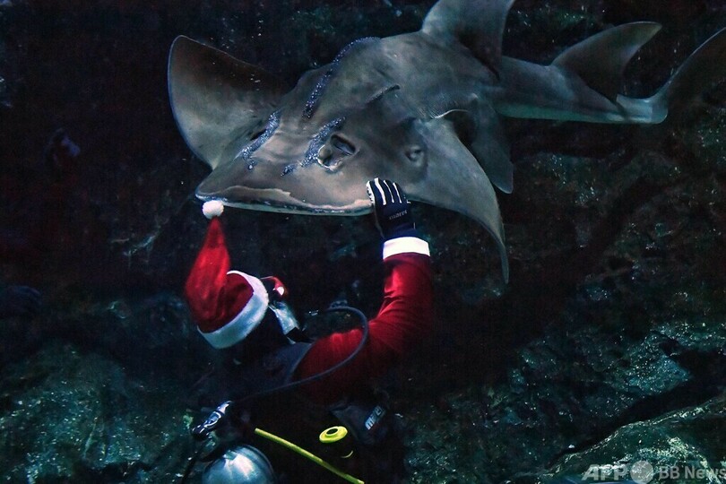 水中サンタからプレゼント！ タイ・バンコク