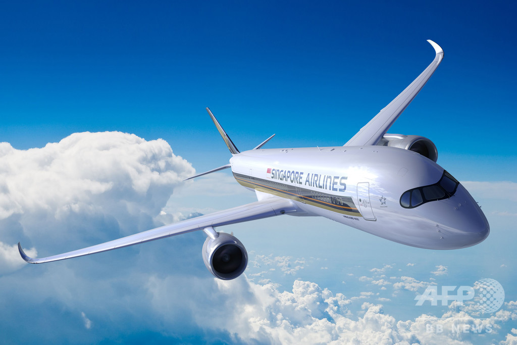 機内食から人の奥歯?! シンガポール航空が謝罪、調査を開始 機内食から人の奥歯?! シンガポール航空が謝罪、調査を開始