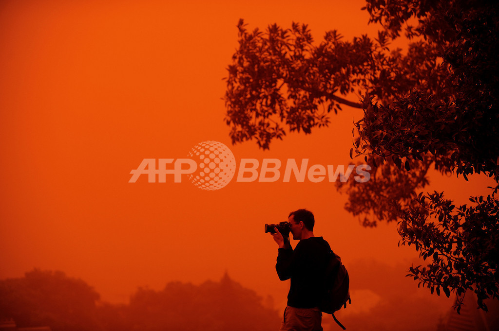 シドニーの空が真っ赤に 内陸部からの砂ぼこりで 写真18枚 国際ニュース Afpbb News