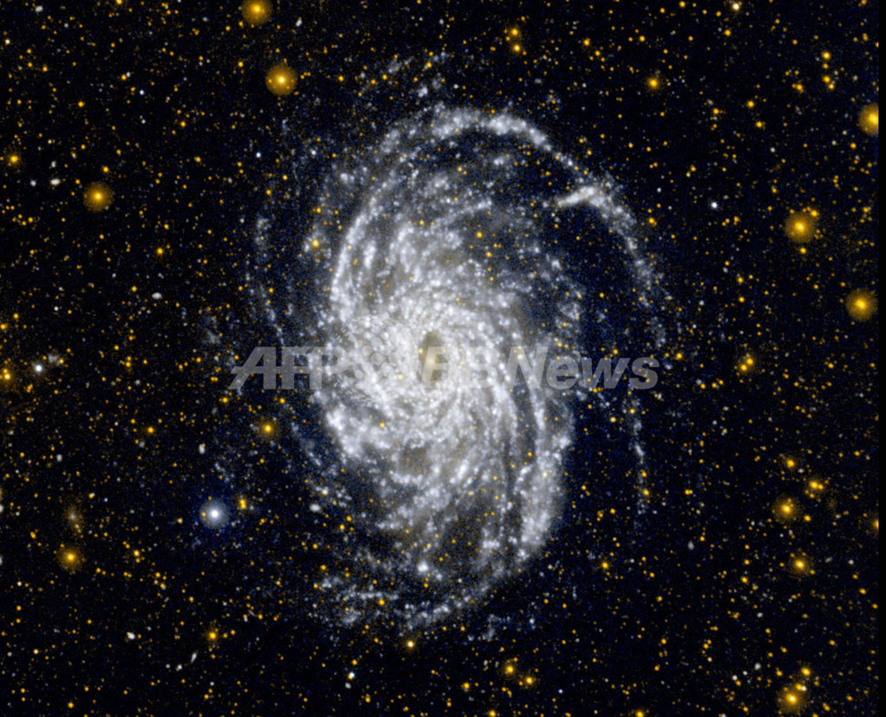 天の川銀河にそっくり、「NGC 6744」 写真1枚 国際ニュース：AFPBB News