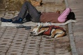 インドの首都ニューデリーで、路上に横たわるホームレスと犬（2022年1月29日撮影）。(c)SAJJAD HUSSAIN / AFP