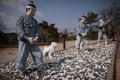 韓国東部・三陟にある「ペニス公園」こと海神堂公園（2018年2月14日撮影）。(c)AFP PHOTO / Ed JONES