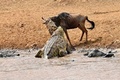 (c)AFP/CARL DE SOUZA