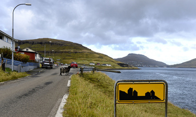 ちょこっと旅気分、ヒツジが草はむフェロー諸島