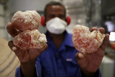 神からの贈り物か、スーダン産「アラビアガム」めぐる駆け引き