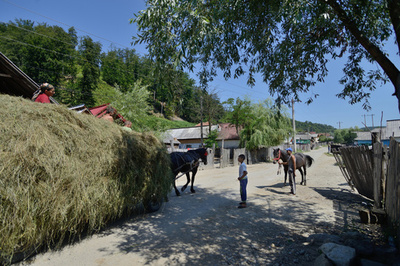 ルーマニアの「奴隷村」、容疑者38人を再勾留