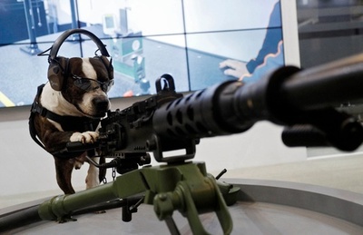 犬も興味津々？ ブラジルで銃器見本市