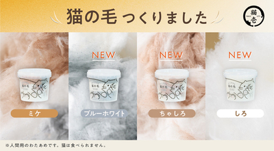 “猫の毛みたいな”わたあめ「おいしすぎる猫の毛」<br />新しく3種追加で全4種展開に<br />6月23日より猫壱公式ECサイトでも販売開始