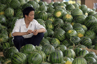 スイカ・ニンニクで住宅購入可能に 中国不動産会社が奇策