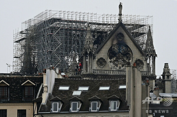 木材準備に50年、ノートルダム寺院の「伝説的」屋根 再建への道のり