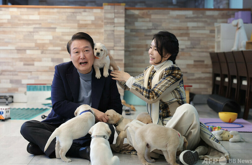 韓国、犬肉処理・販売を禁じる法案可決 食用目的の繁殖も禁止