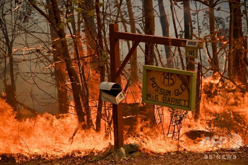 豪東部の森林火災、シドニー中心部から15キロ以内に火の手が及ぶ