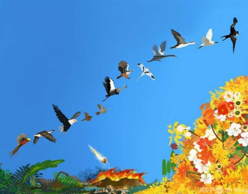 「鳥類の起源は恐竜時代」 中国の専門家ら研究発表