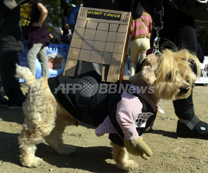 「ロムニー犬」から人魚、ヤンキースまで NY恒例ワンちゃんのハロウィーン