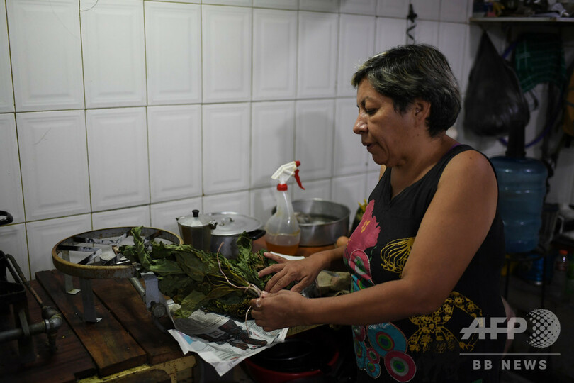 信仰治療院や薬草販売、かつてない盛況ぶり 経済危機のベネズエラ