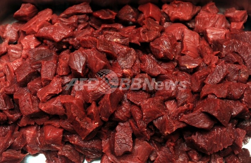 フランスの馬肉業界、偽装牛肉問題に負けず食の伝統守る