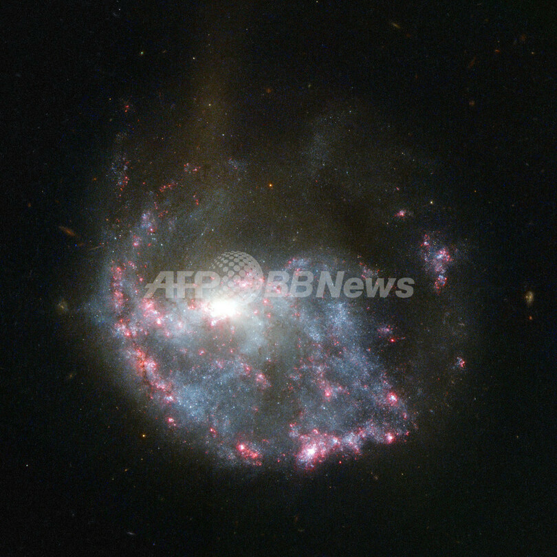銀河の衝突で広がるピンクの輪 Ngc 922 の画像公開 写真1枚 国際ニュース Afpbb News