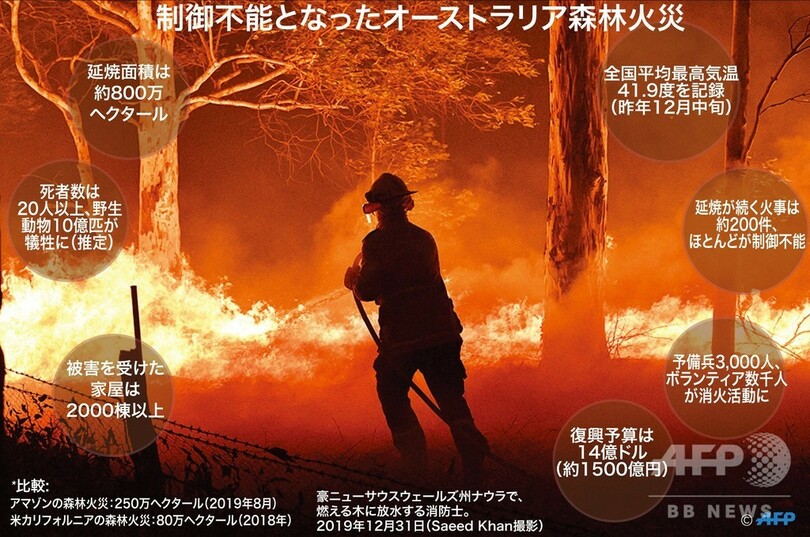 【特集】過去最大規模の豪森林火災、被害拡大で非常事態宣言も