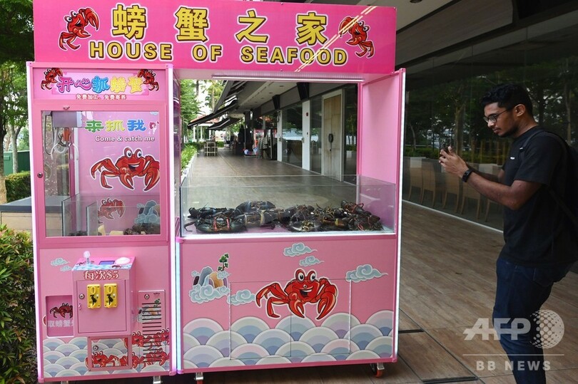 カニつりクレーンゲームに「虐待」と批判殺到、稼働中止に