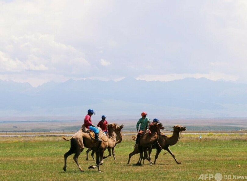 中国・第12回少数民族伝統体育大会の馬術競技が開幕