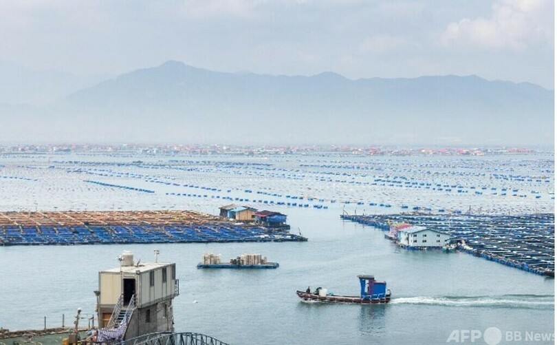 中国は海洋牧場の建設に注力