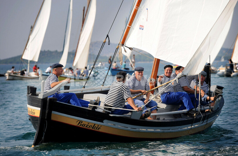 伝統の大三角帆でボートレース、クロアチア