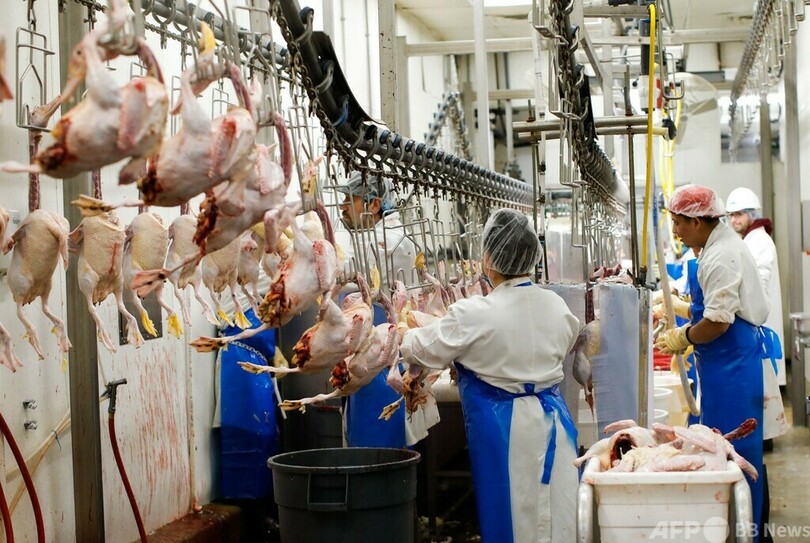 市vs州、NYフォアグラ論争