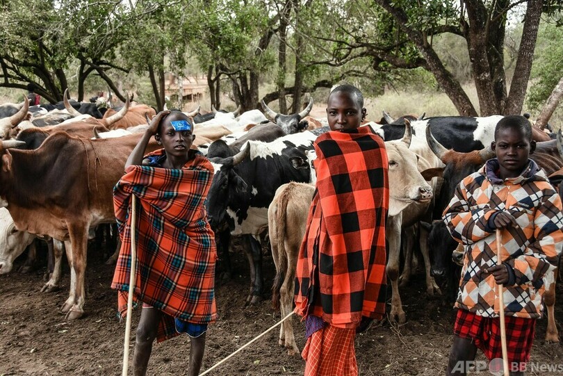 世界遺産の自然保護区から移住、ハンデニ地区のマサイ人 タンザニア