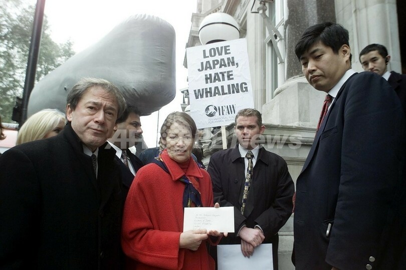 ロンドンの日本大使館で10代少女が反捕鯨活動