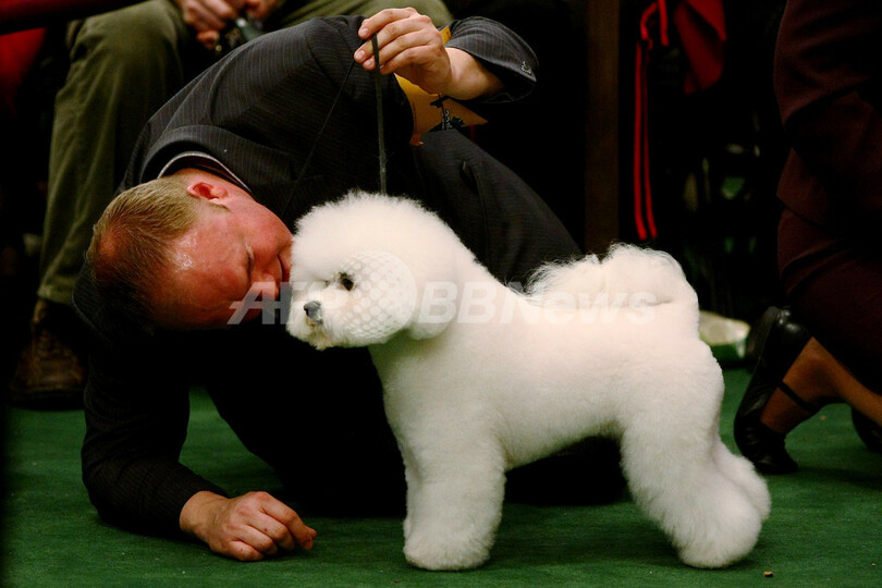 ついに開幕、世界最大級のドッグショー