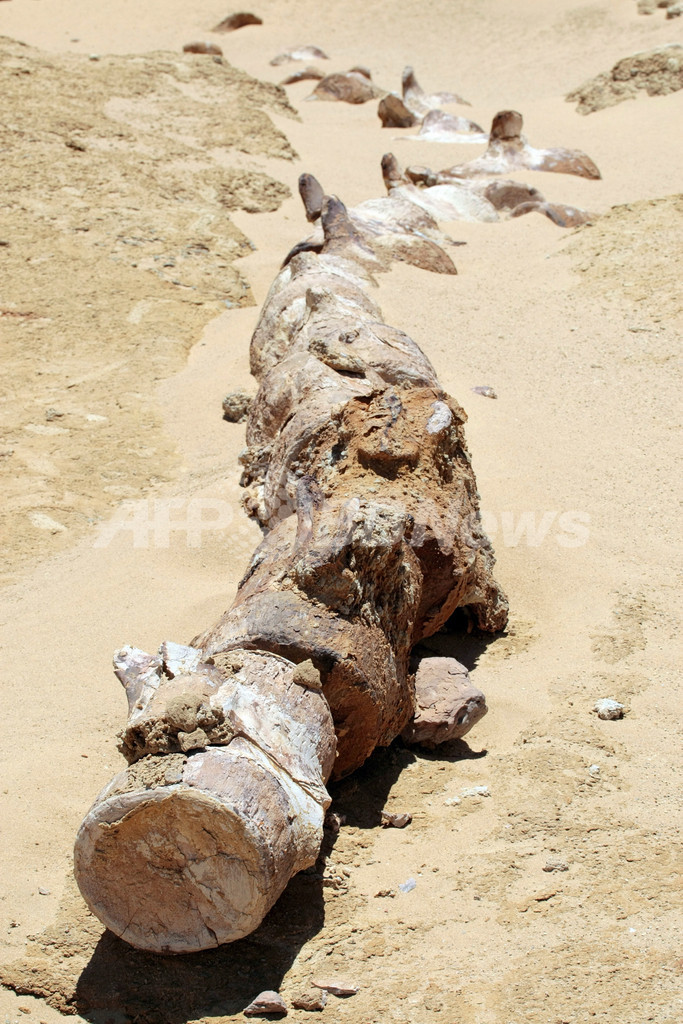 エジプトが海だったことを示す世界遺産「ワディ・アル・ヒタン」