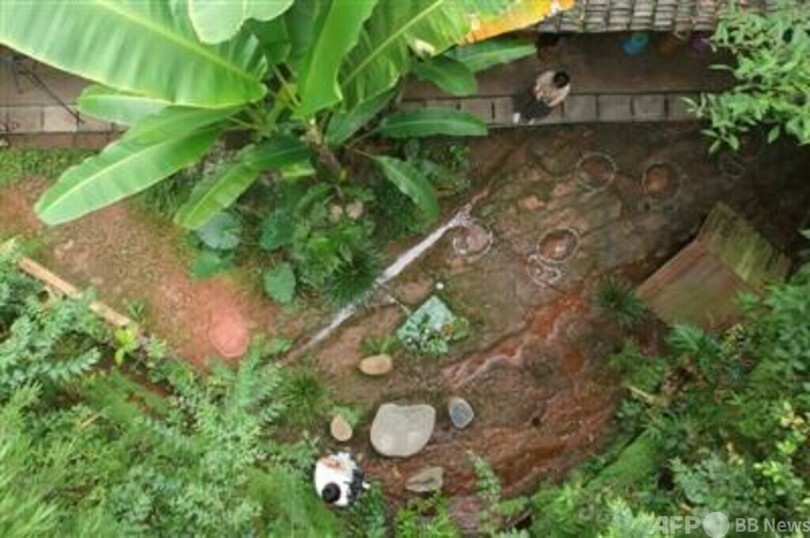 レストランの庭で1億年前の恐竜の足跡見つかる 中国・四川省