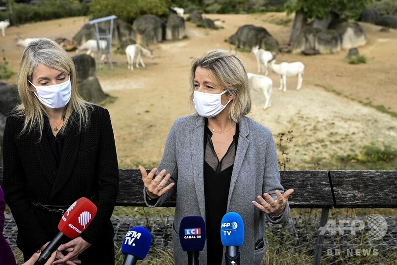 ミンク農場やサーカスでの動物使用、段階的に禁止へ フランス