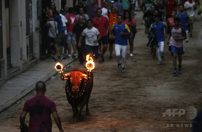 【AFP記者コラム】スペイン気質──4年間の赴任を終えて