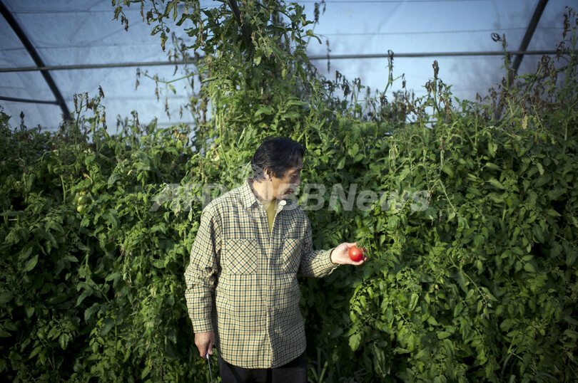 パリで人気の野菜農家、山下朝史さん