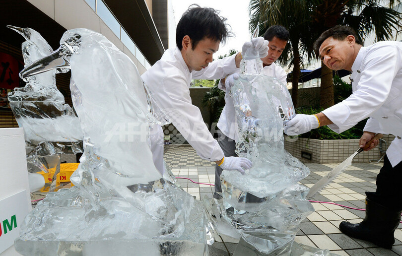 冷た～いペンギンたちが「ペンギン館長」とお出迎え、品川アクアスタジアム